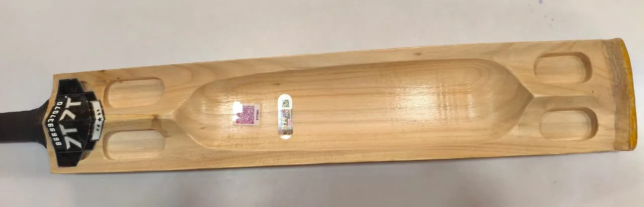 Gold Edition Cricket Bat View 5